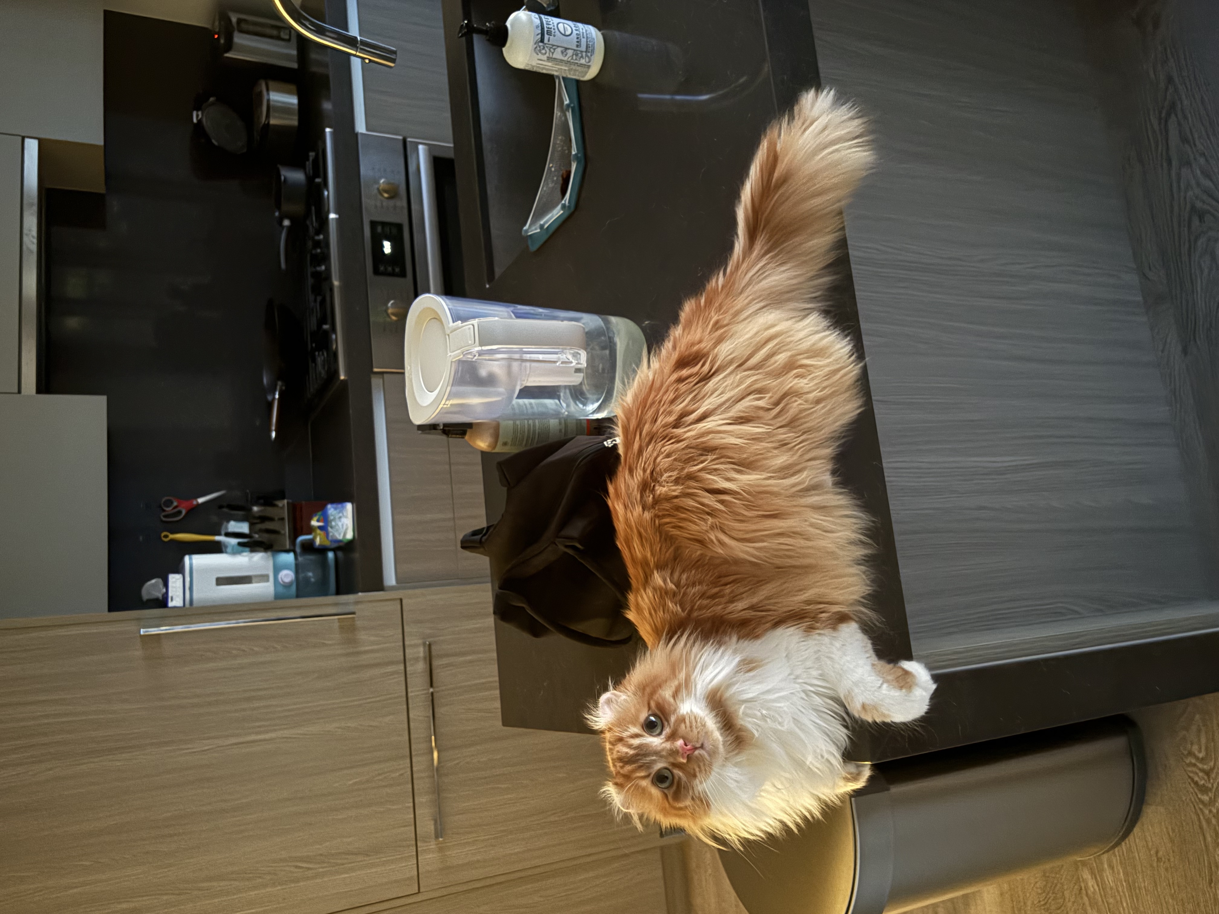 Dongdong · Vancouver, Canada